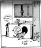 catfud.jpg