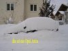 P1010007.jpg