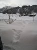 P1010003.JPG