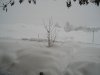 P1010001.JPG