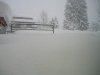 P1010003.JPG