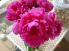 DSC00723.JPG