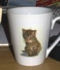 Tasse-Katze.JPG