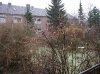 Winterpflaume 003 600X449.jpg