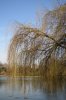 DÃ¼sseldorf Hofgarten 1 400X600.jpg