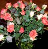 Februar 5 004 444X450.jpg