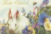 Hase.jpg
