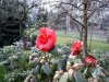 Schmetterlingsgarten 002 Kopie.jpg