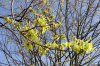 April 9 030 600X400.jpg