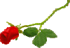 rose1.gif