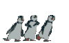 pinguine, drei.gif