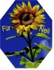 sonnenbl neli.jpg