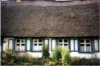 web. haus in usedom, groÃŸ.jpg
