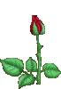 annimationverkauf2.gif