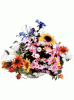 blumen.gif
