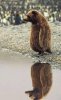 080003_4_funny%20picture_prv.jpg