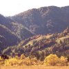 herbsttraum.jpg