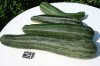zuccini.jpg