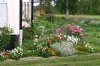 gartenjuno3.jpg