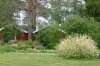 gartenjuno4.jpg