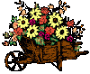 001-083.gif