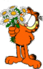 Garfield.gif