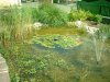 garten 2003.jpg