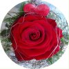 rose.jpg