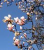 Bilder zum Entwickeln, neu 018 396X450.jpg