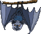 fledermaus11.gif