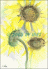 Â©15_21 Sonnenblumen.gif