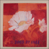 Â©40_40 Anemonen in Acryl.gif