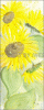 Â©20_50 Sonnenblume2.gif