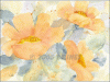 Â©30_40 apricot Anemonen.gif