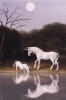einhorn benutz1.gif