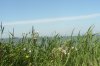 Hooksiel-Urlaub 043 600X399.jpg