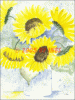 Â©30_40 Sonnenblumen2.gif