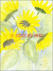 Â©30_40 Sonnenblumen3.gif