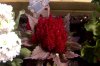 IMAG0088.jpg