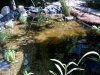 Schmetterlingsgarten 064 Kopie.JPG