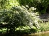 Botanischer Garten 600X449.jpg