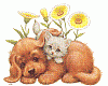 TIERE Hund+Katze .GIF
