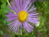 DSCN0919.JPG