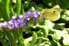 Botanischer Garten 071 500X333.jpg