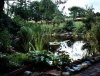teich2.JPG