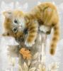 katze-54.gif