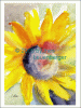 Â©K15_21 Sonnenblume einzeln.gif