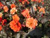 PICT0045.jpg