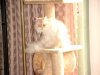 Mai 2004 001 Kopie.JPG