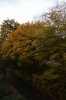 Oktober 9a 002 399X600.jpg